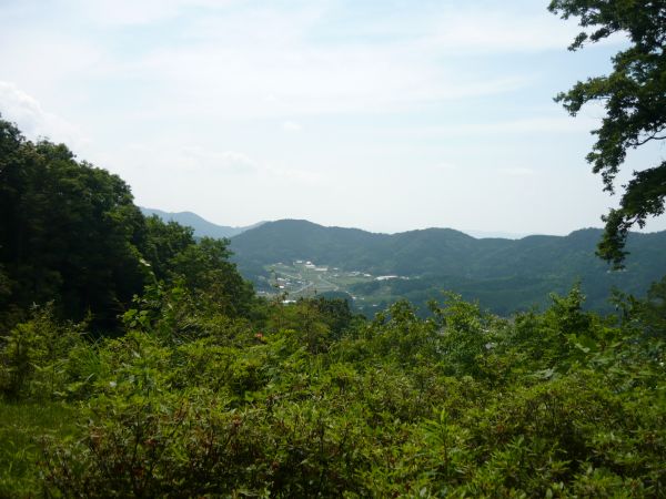451a3d42.jpg