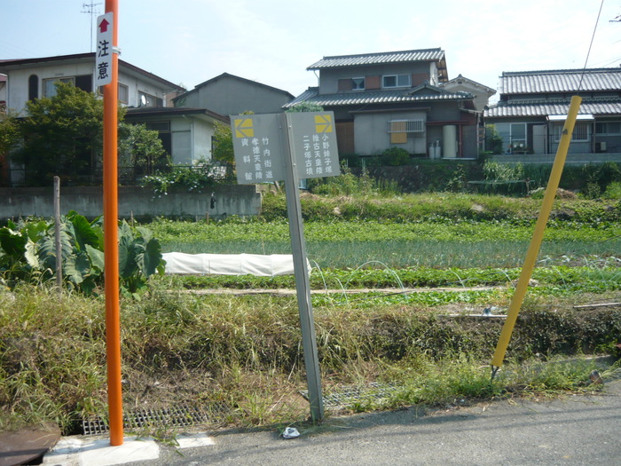 7121e9b5.jpg