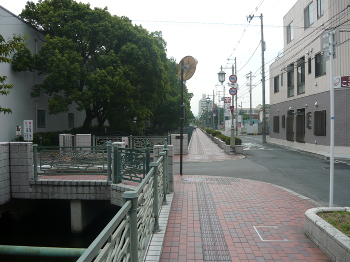 d856251c.jpg