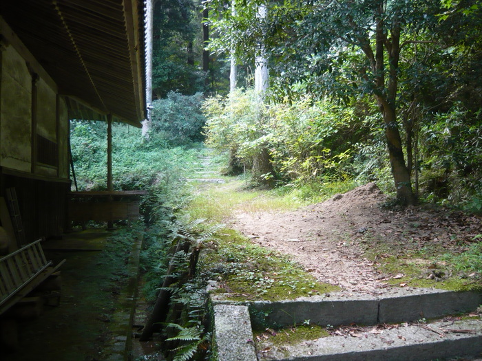 d2a009a7.jpg