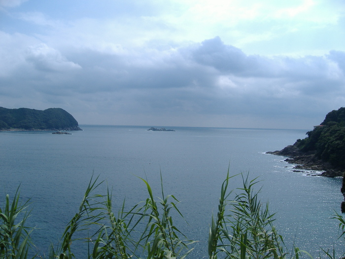 a7d23f63.jpg