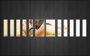 wall20ch5997