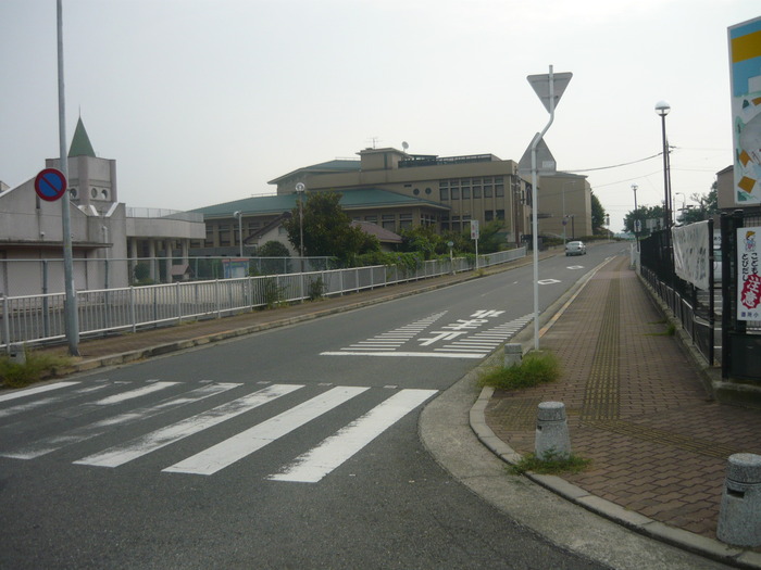 d6474542.jpg