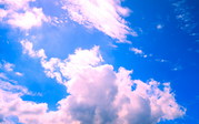 wall20ch5791