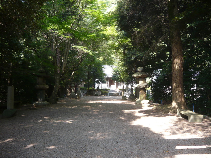 aff1a229.jpg
