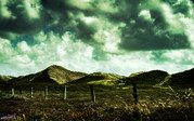 wall20ch5845