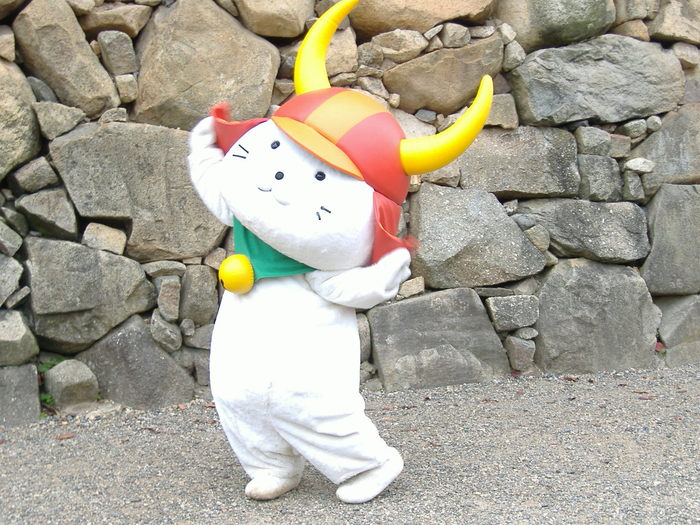 3544fd65.jpg