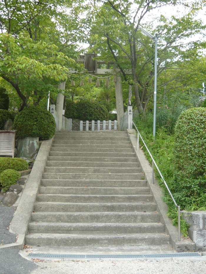 ce82c4cc.jpg