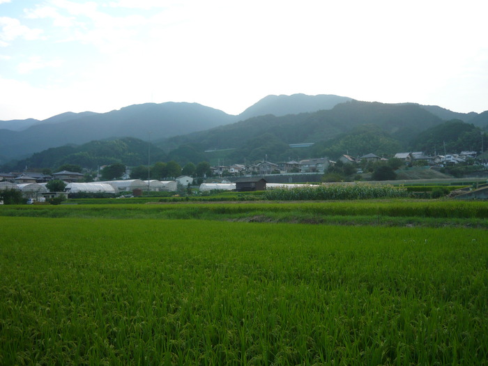 2aa28870.jpg