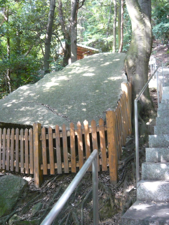 544f51b5.jpg