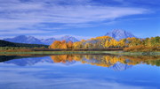 wall20ch5876