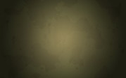 wall20ch5925