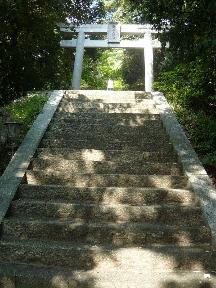 20d4935c.jpg