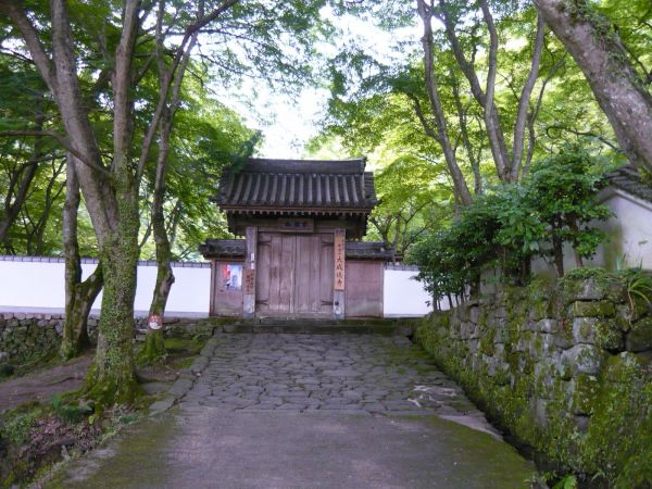 a965451c.jpg