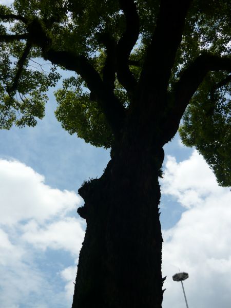 33ae039e.jpg