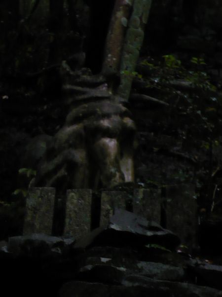10df0701.jpg