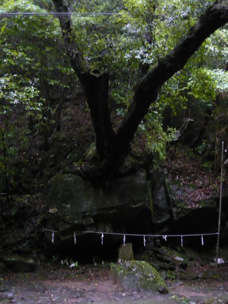5b18706a.jpg