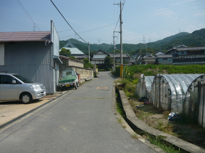 9958348e.jpg