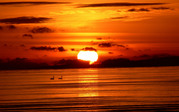 10mai411047