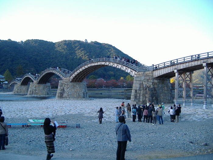 ba393356.jpg