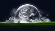 wall20ch5767
