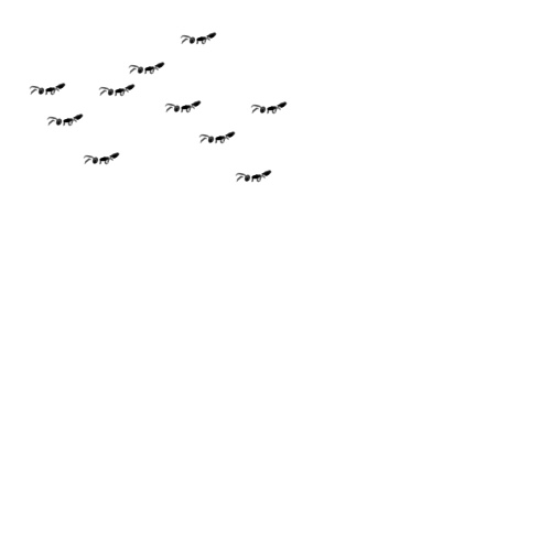 c28fecc6.jpg