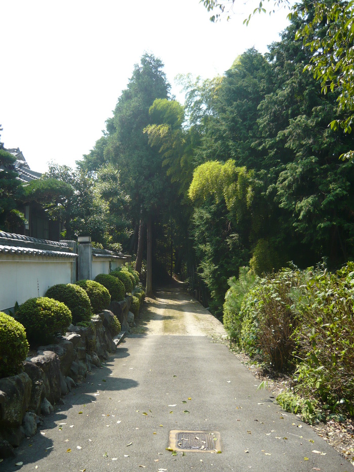 6f706757.jpg