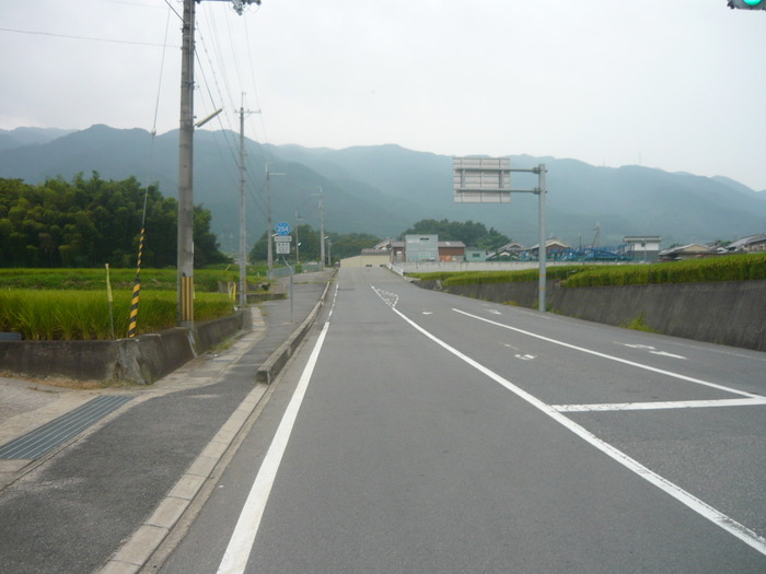 77d567f7.jpg