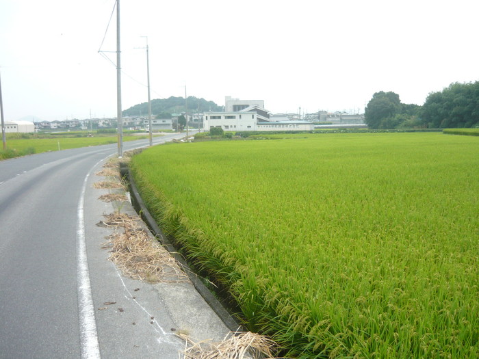 c8a83b01.jpg