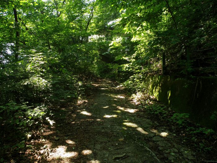 48f49982.jpg