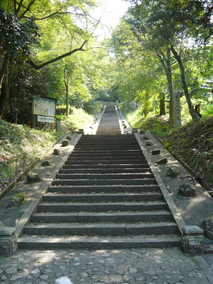 2a7839e4.jpg