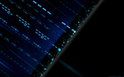 vlbg005601