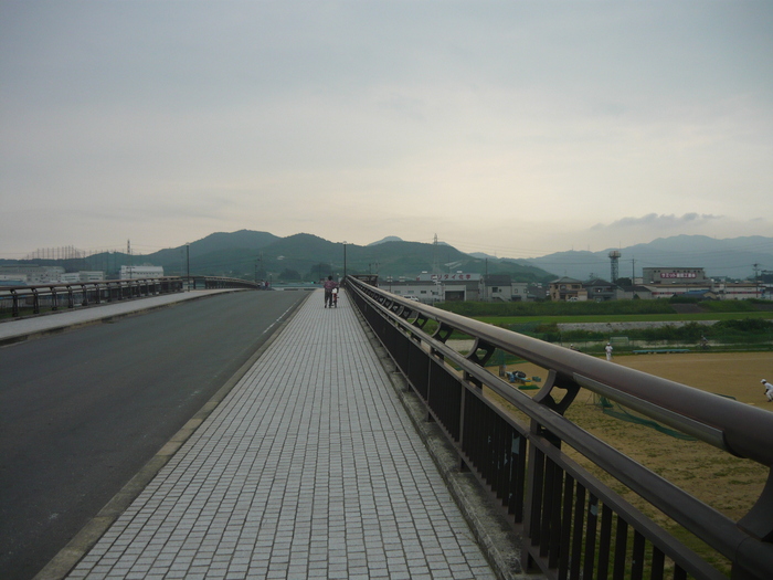 74633d31.jpg
