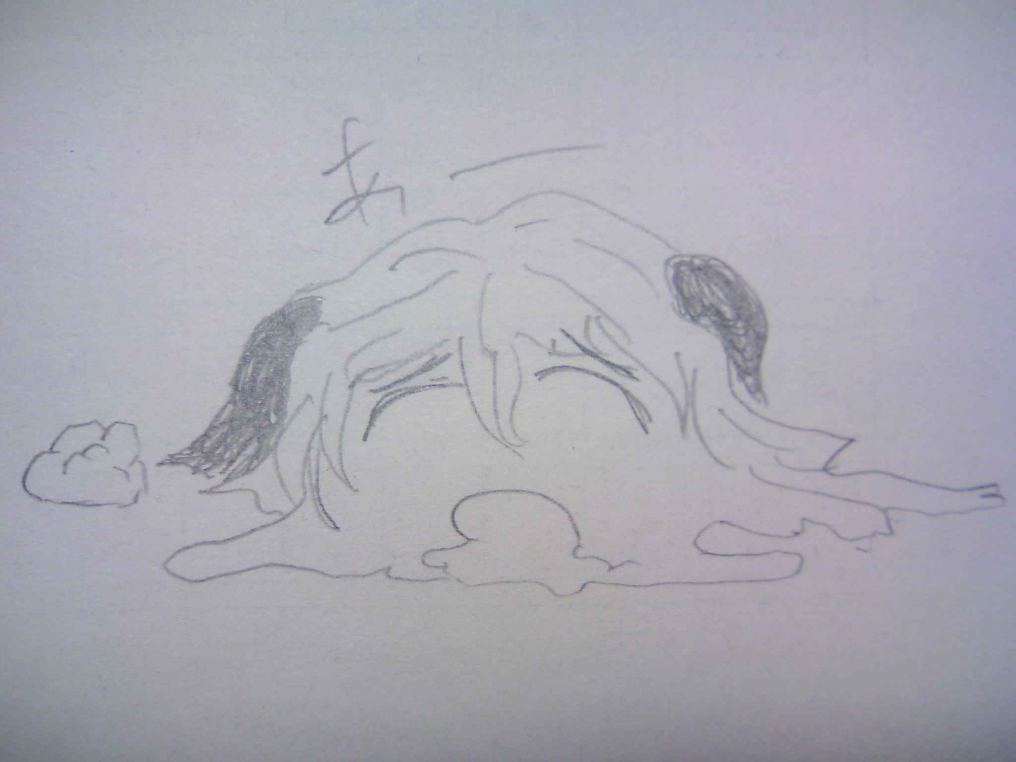 8224c32b.jpeg