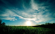 wall20ch6002