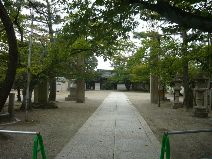 048710ea.jpg