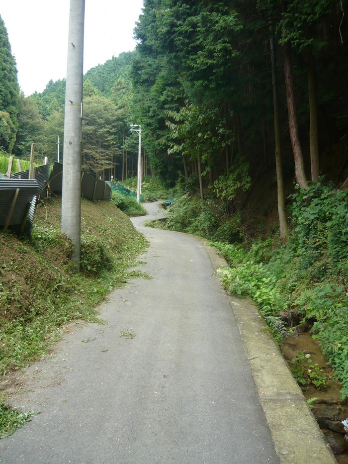 c83fc8d5.jpg