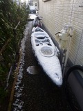 120124_003