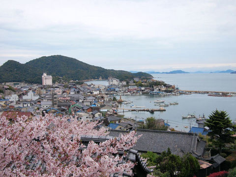 医王寺より