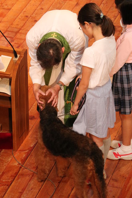 チャプレン祝福