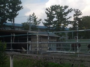 mini_110807_1431