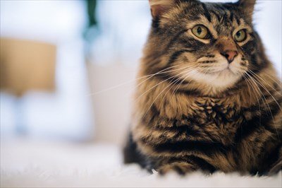 陽キャ陰キャ両方体験した至高の存在!!!