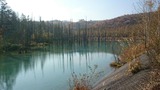906424f1.jpg