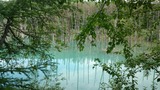 d3b2e533.jpg