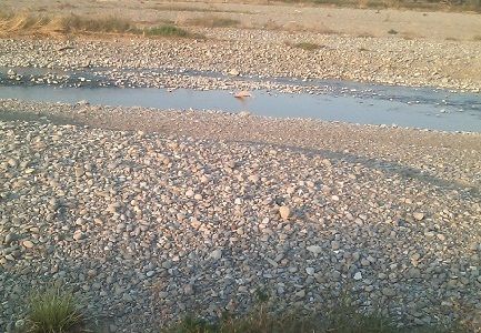 tamar041111