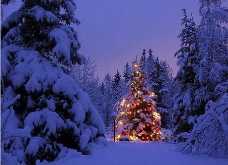 snowxmas