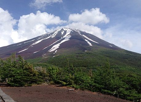 17okuniwafuji