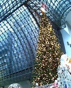 061120_KyotSt_Xmas_r
