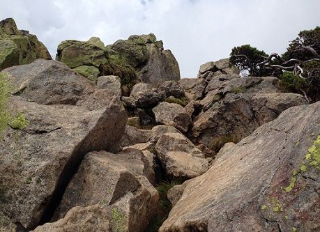 12tosummit