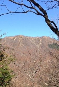 tonodake2